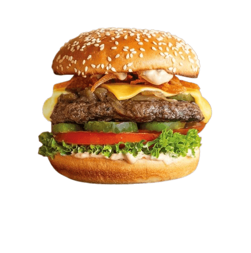 Chicken Patty Burger